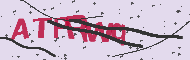 Captcha認証コード